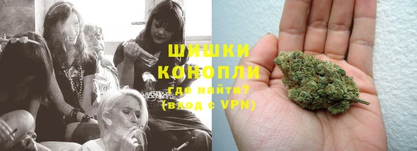 гашик Богородицк