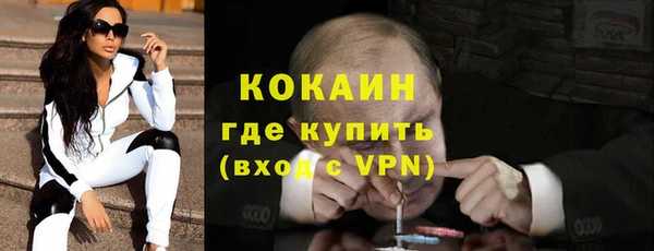 гашик Богданович
