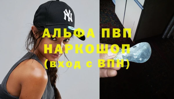 гашик Богданович