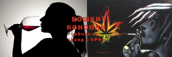 гашик Богданович