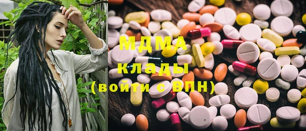 гашик Богданович