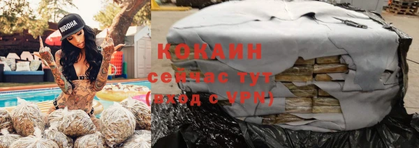 гашик Богданович