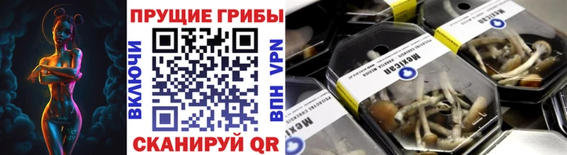 Купить закладки  Красногорск  Галлюциногенные грибы Cubensis 